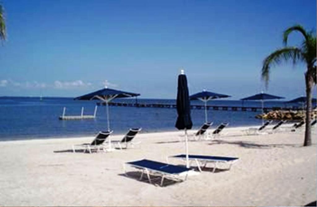 Harborside Suites At Little Harbor Ruskin Exterior photo
